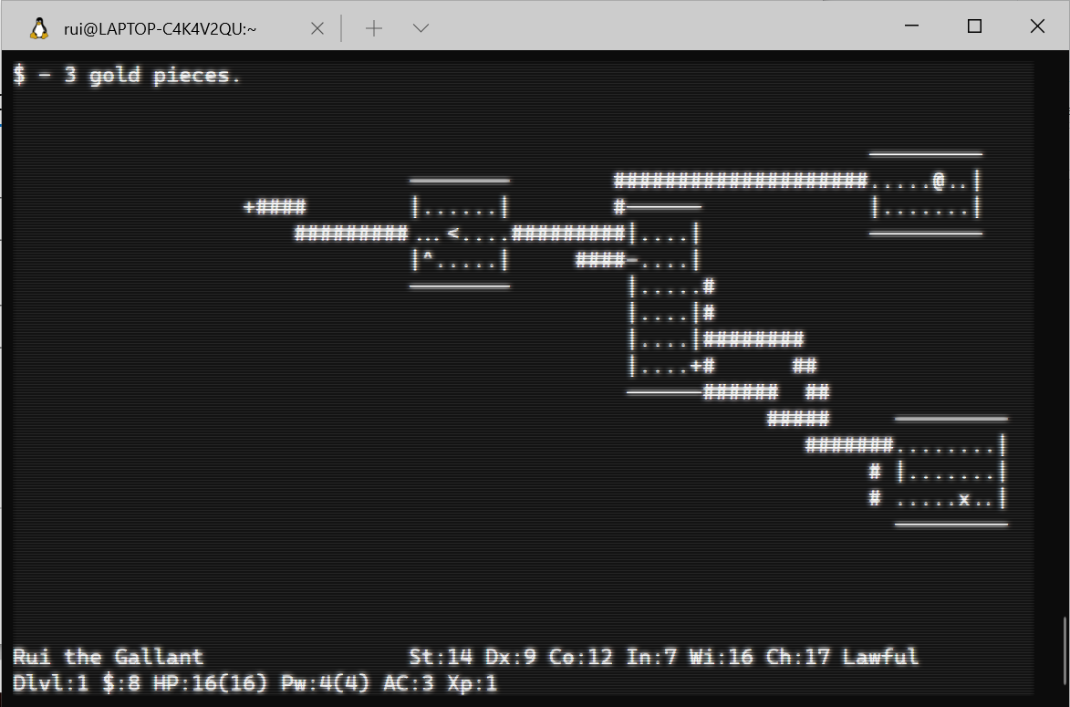 Playing nethack with retro effects